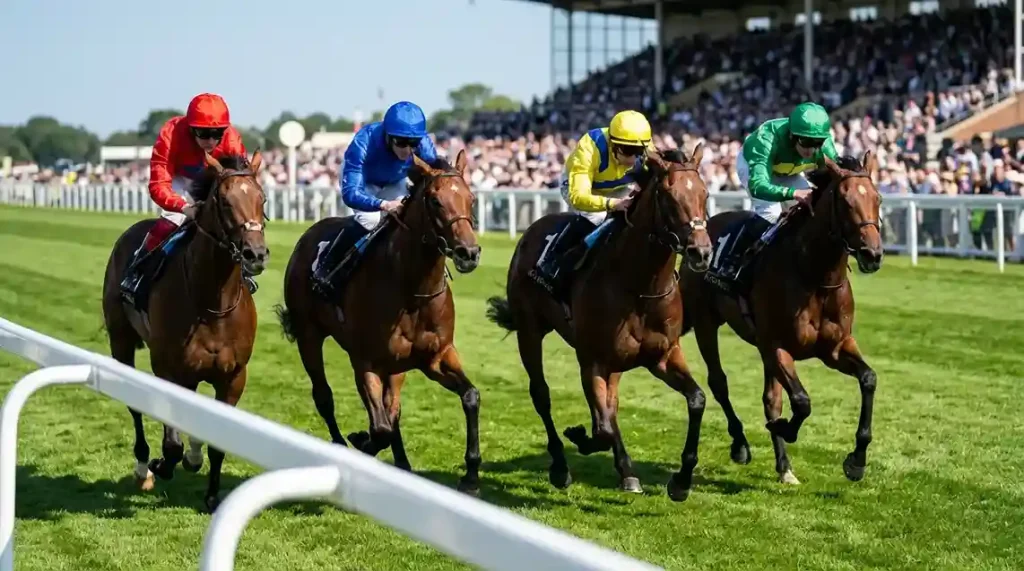 Volbloed racepaarden in volle galop op een vlakke grasbaan bij zonnig weer