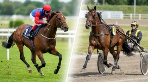 Verschil Tussen Volbloed en Draver: Wat Betekent Het voor Je Weddenschap?